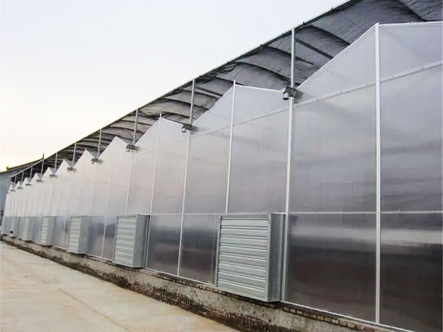 陽光板溫室